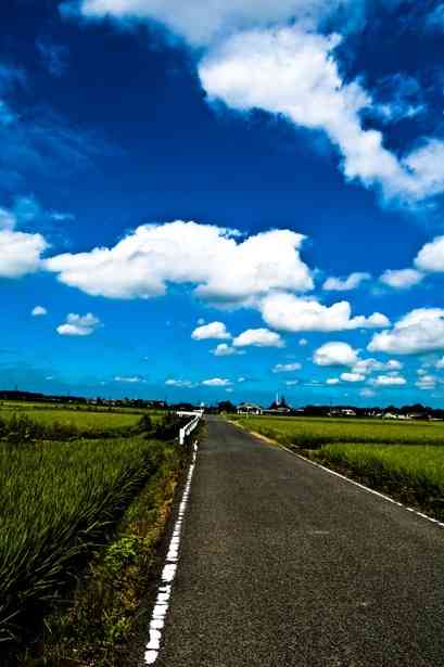 どこか切ない夏の画像を貼っていくトピ