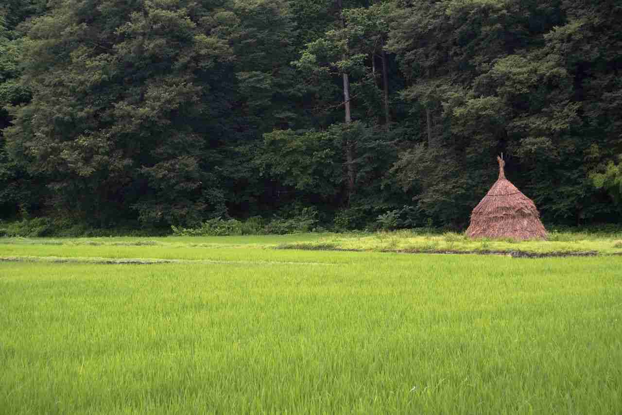 どこか切ない夏の画像を貼っていくトピ