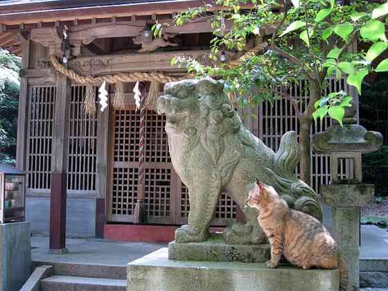 どこか切ない夏の画像を貼っていくトピ