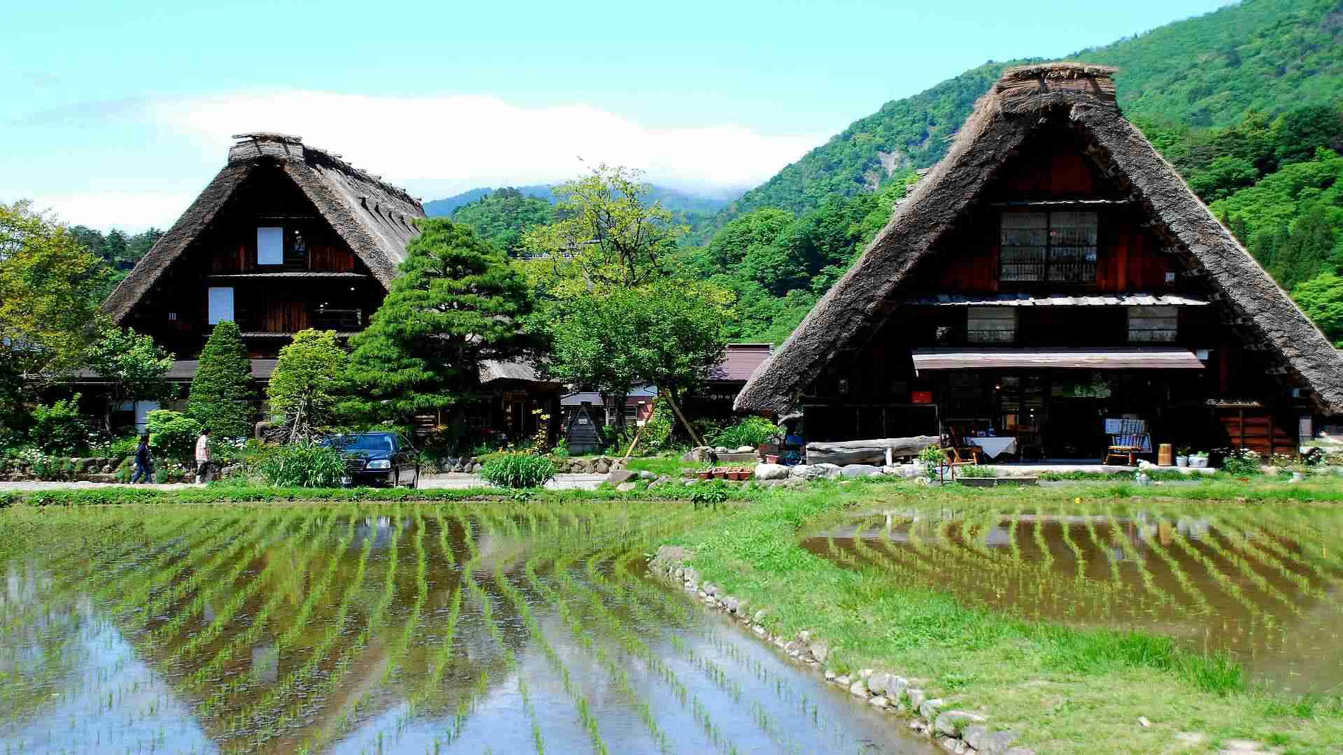 どこか切ない夏の画像を貼っていくトピ