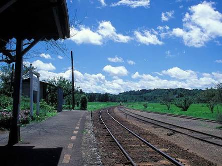 どこか切ない夏の画像を貼っていくトピ