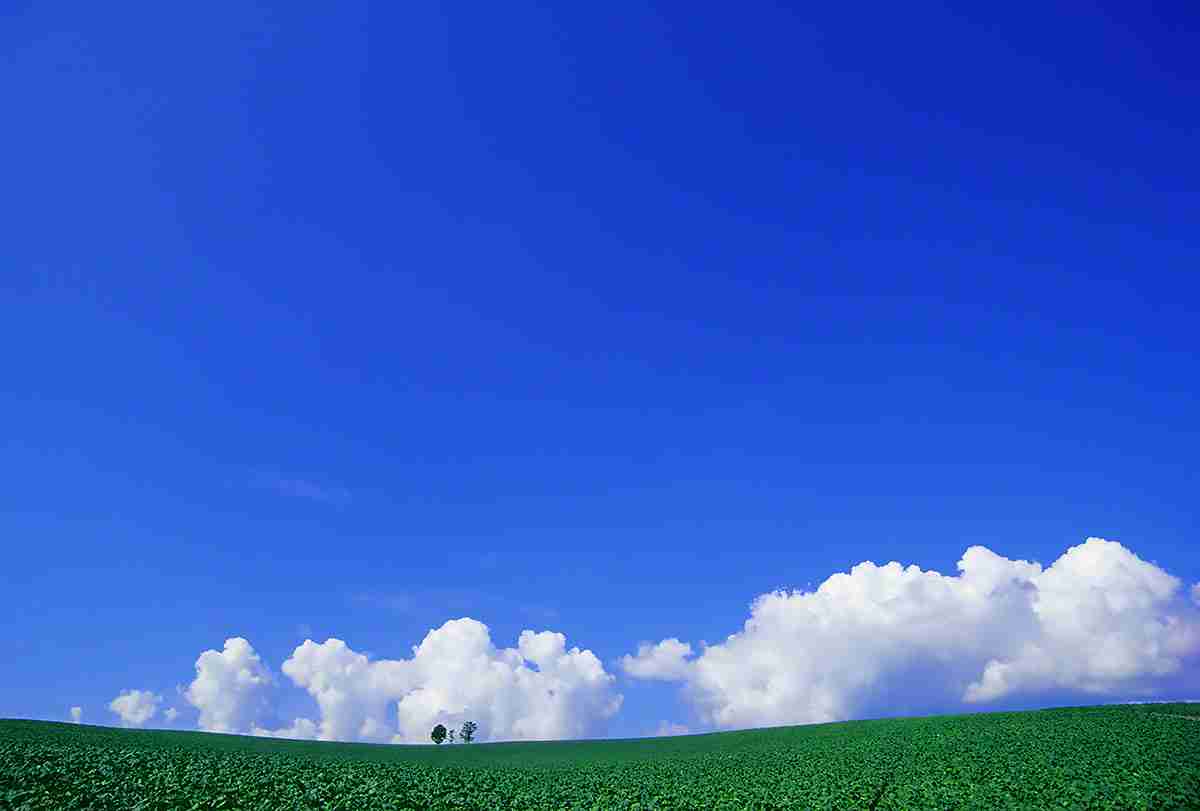 どこか切ない夏の画像を貼っていくトピ