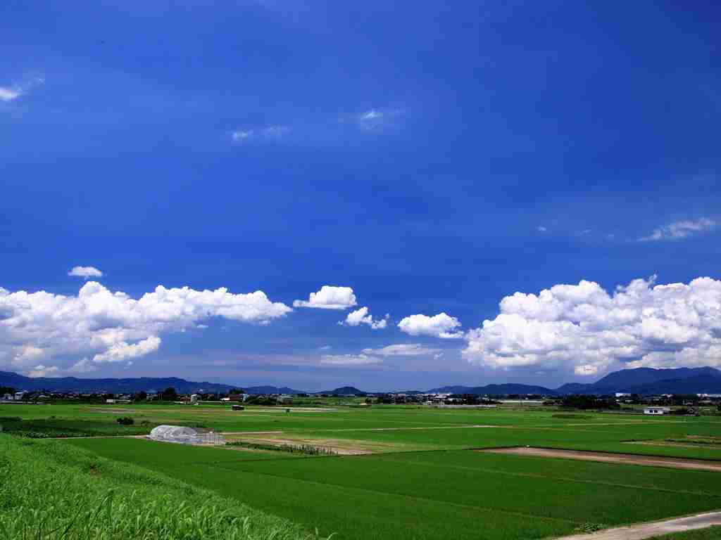 どこか切ない夏の画像を貼っていくトピ