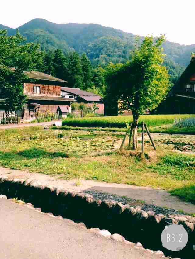どこか切ない夏の画像を貼っていくトピ