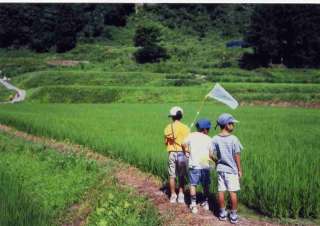 どこか切ない夏の画像を貼っていくトピ