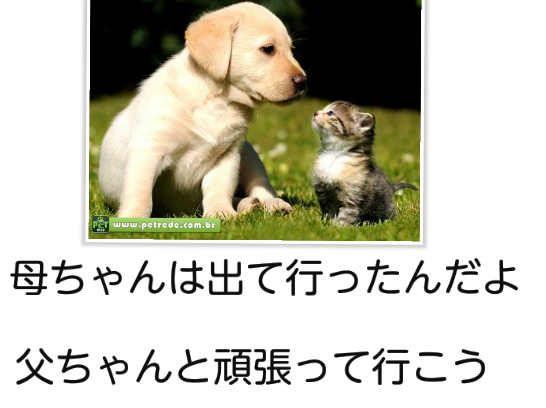 ガルちゃん猫カフェ17号店 開店しました♪ (初めての方も大歓迎！)