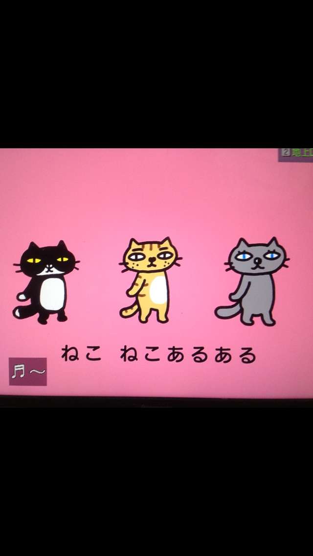 ガルちゃん猫カフェ17号店 開店しました♪ (初めての方も大歓迎！)