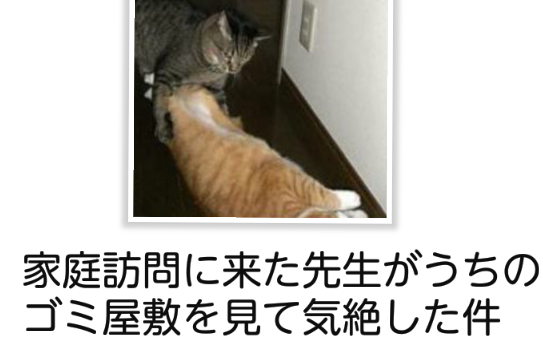 ガルちゃん猫カフェ17号店 開店しました♪ (初めての方も大歓迎！)