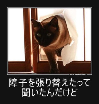 ガルちゃん猫カフェ17号店 開店しました♪ (初めての方も大歓迎！)