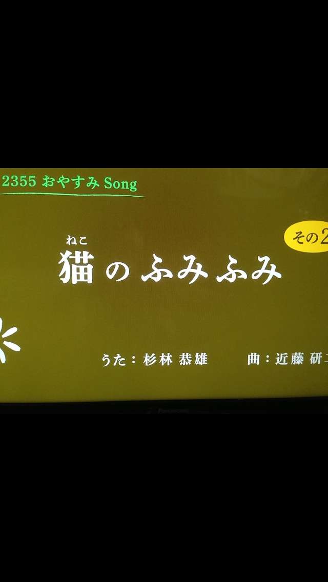 ガルちゃん猫カフェ17号店 開店しました♪ (初めての方も大歓迎！)