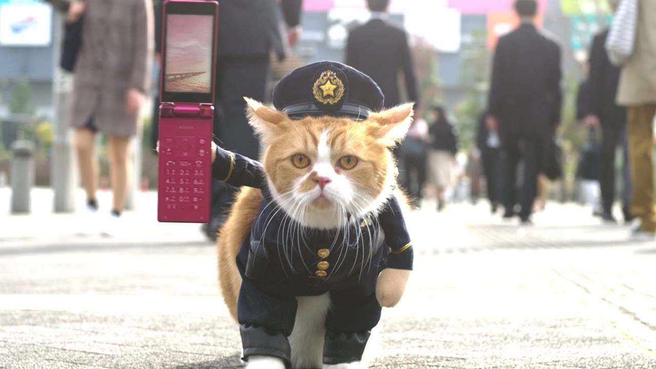 ガルちゃん猫カフェ17号店 開店しました♪ (初めての方も大歓迎！)