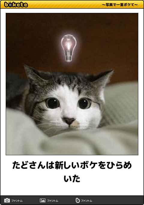 ガルちゃん猫カフェ17号店 開店しました♪ (初めての方も大歓迎！)