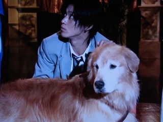 ドラマ放送開始から10年…「花ざかりの君たちへ～イケメン♂パラダイス～」を語ろう！