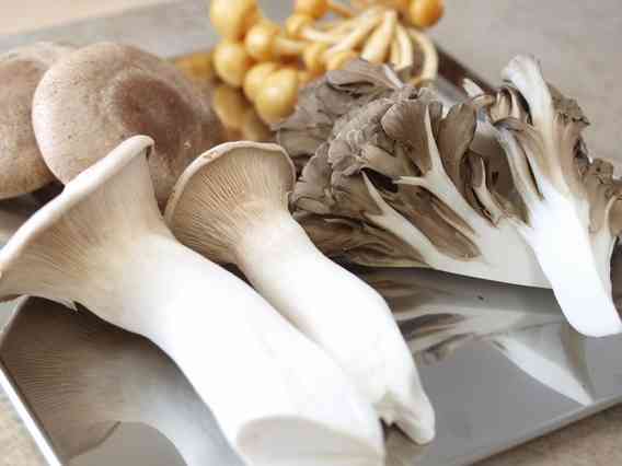 〔栄養〕ミネラルとってますか？