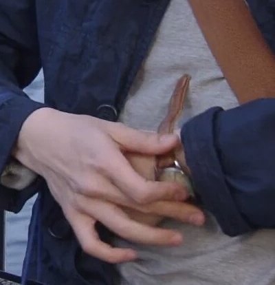 いろんな長谷川博己が見たい