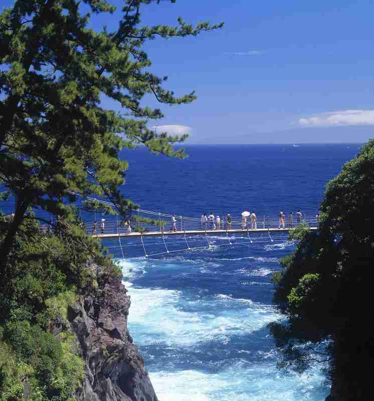 静岡県のおすすめ
