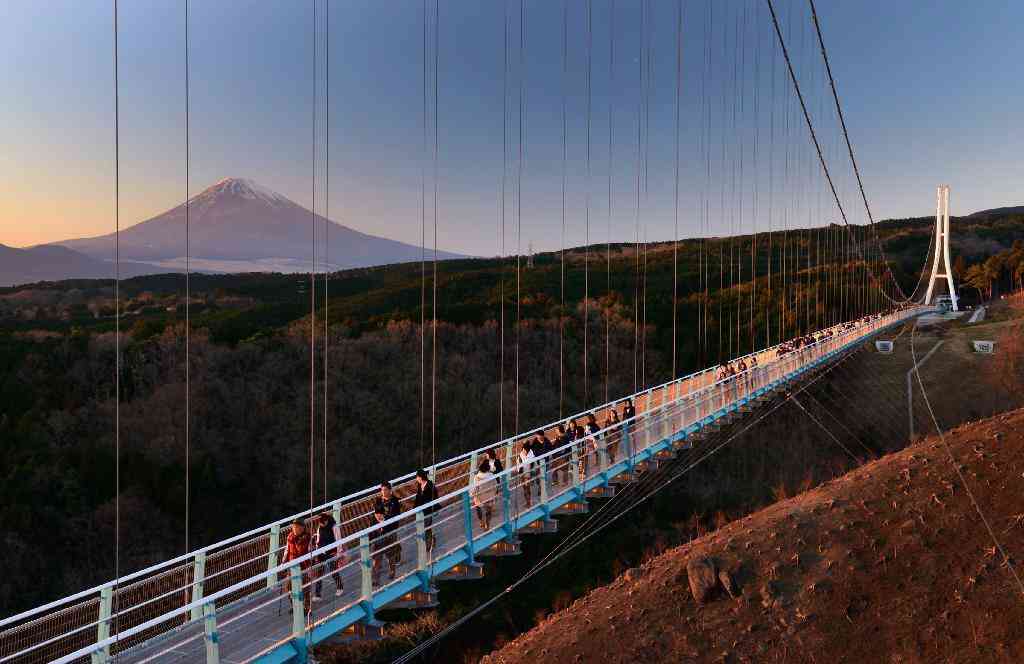 静岡県のおすすめ