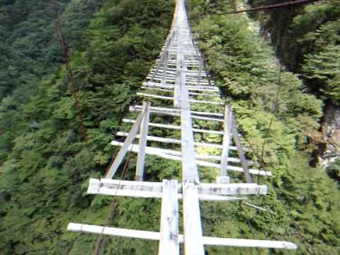 静岡県のおすすめ
