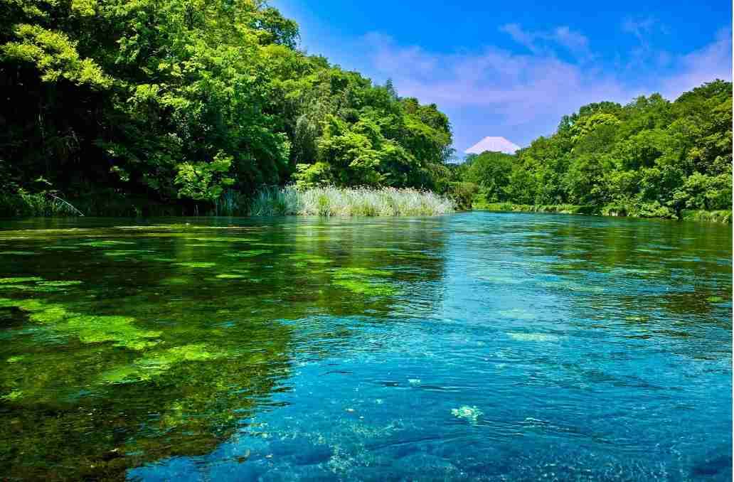 静岡県のおすすめ