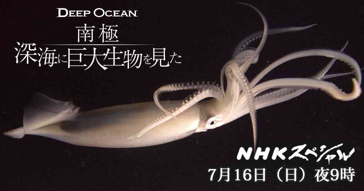 ・・海底散策・・・