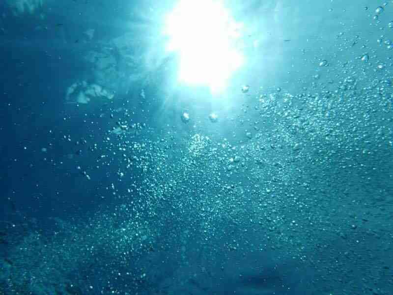 ・・海底散策・・・
