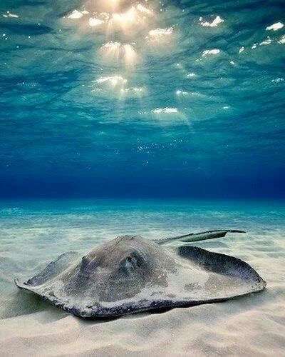 ・・海底散策・・・