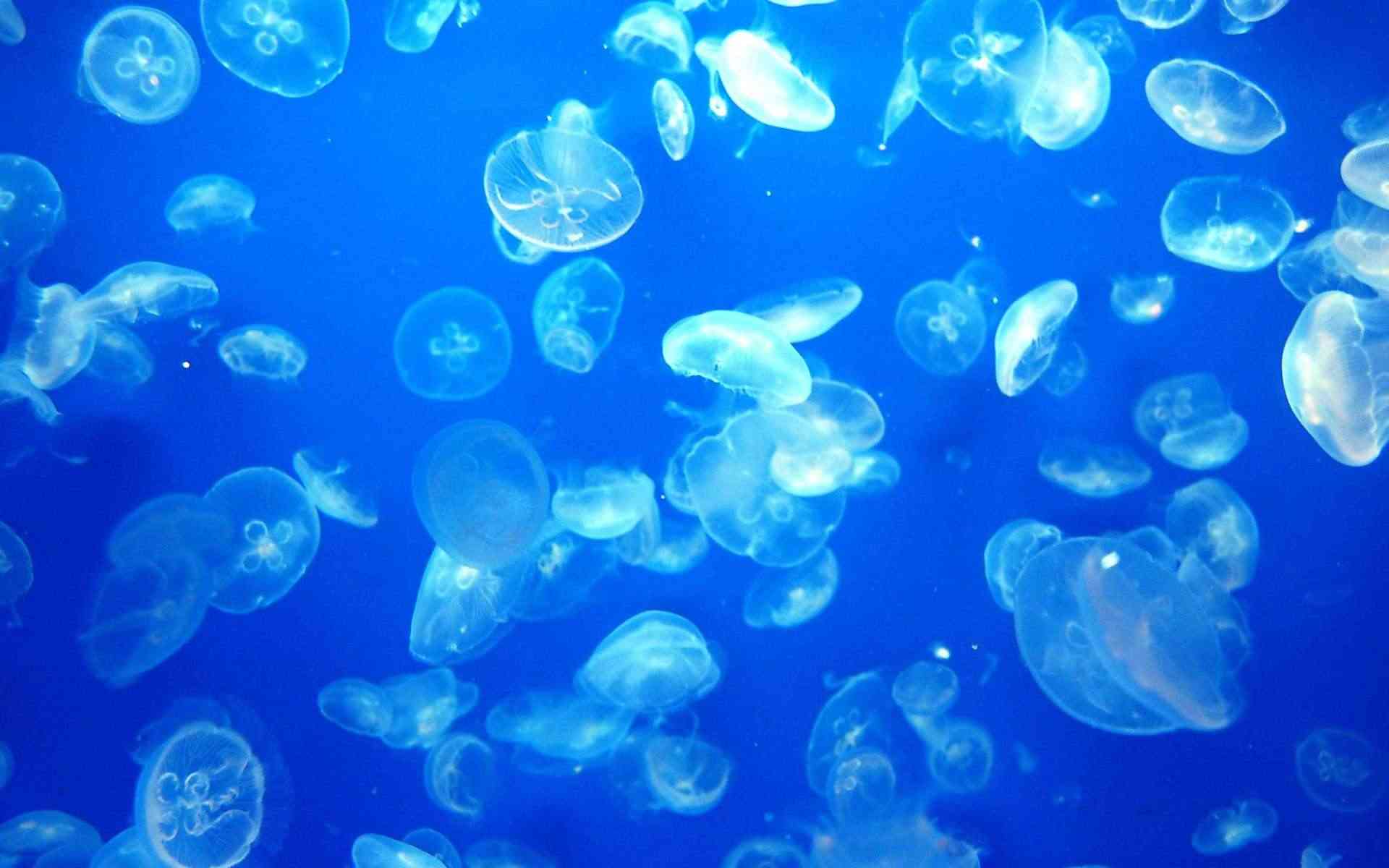 ・・海底散策・・・