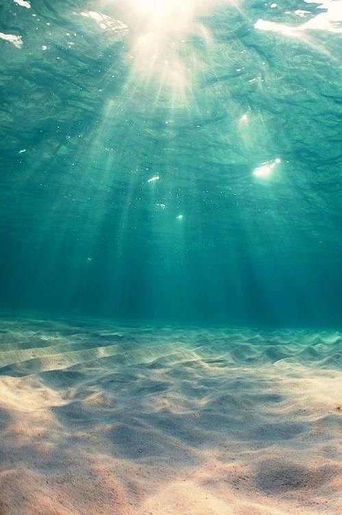 ・・海底散策・・・
