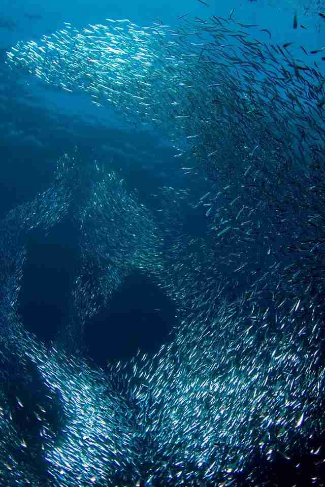 ・・海底散策・・・