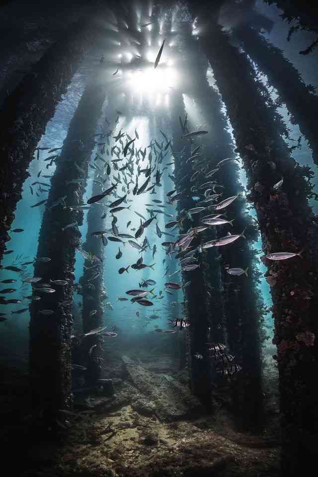 ・・海底散策・・・