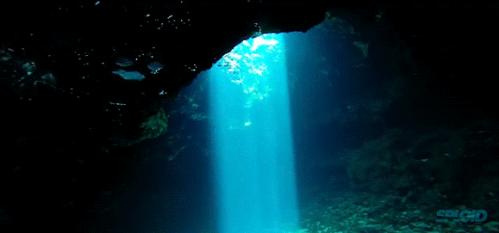 ・・海底散策・・・