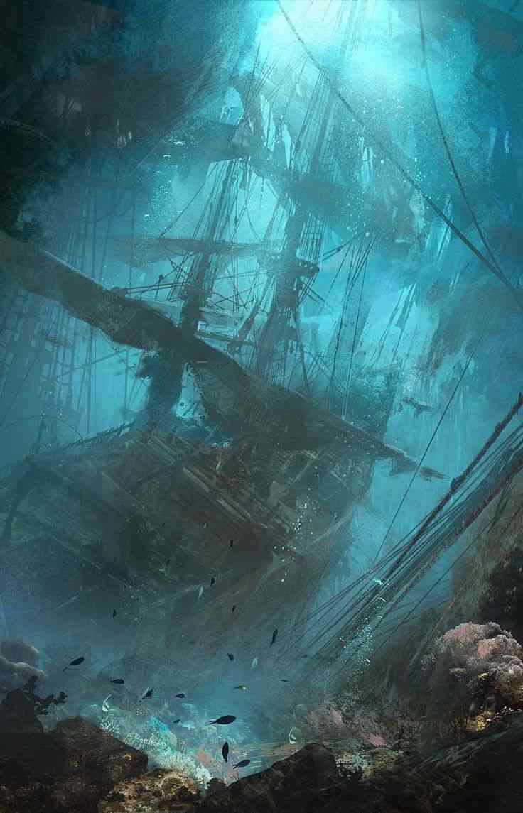 ・・海底散策・・・