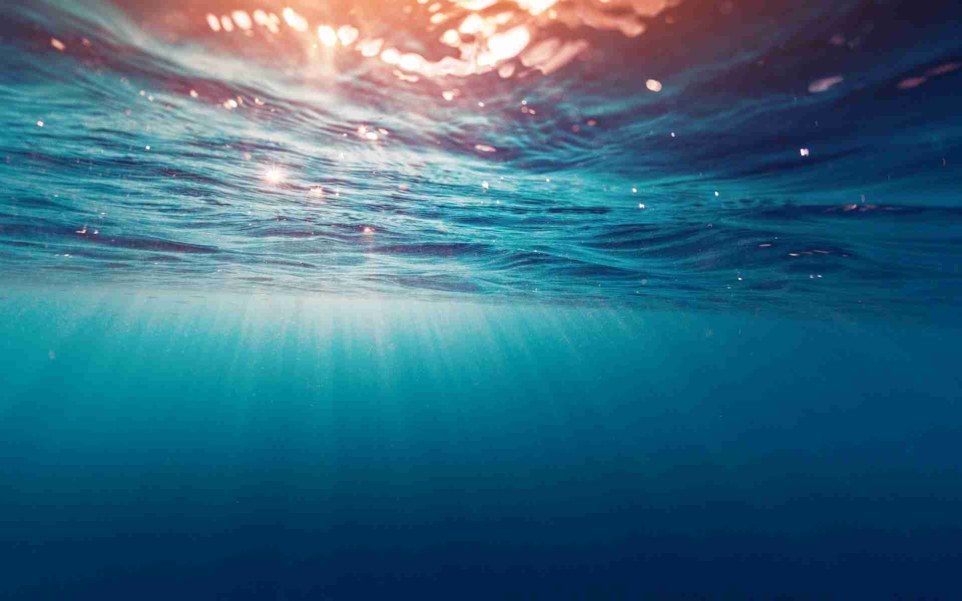 ・・海底散策・・・