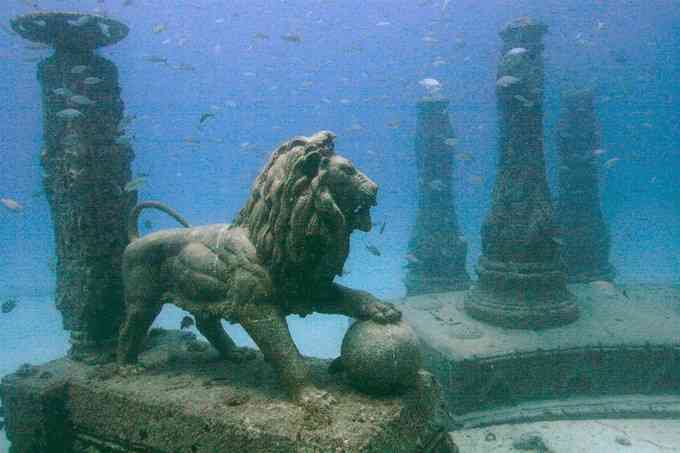 ・・海底散策・・・