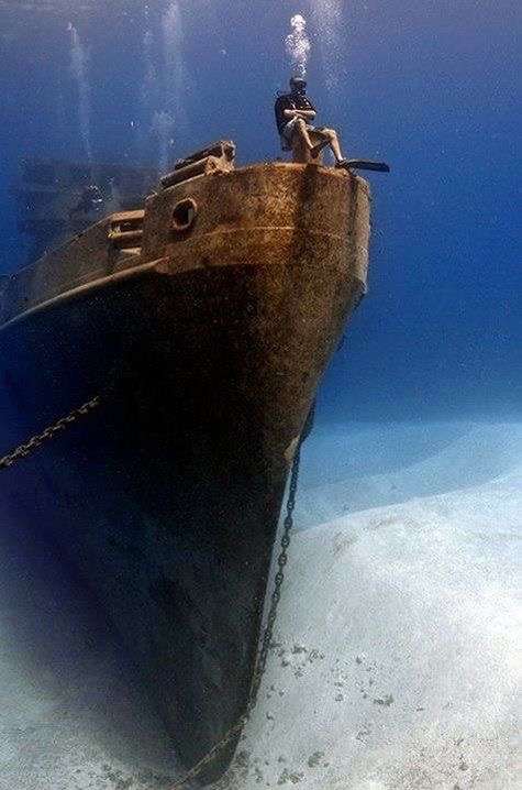 ・・海底散策・・・
