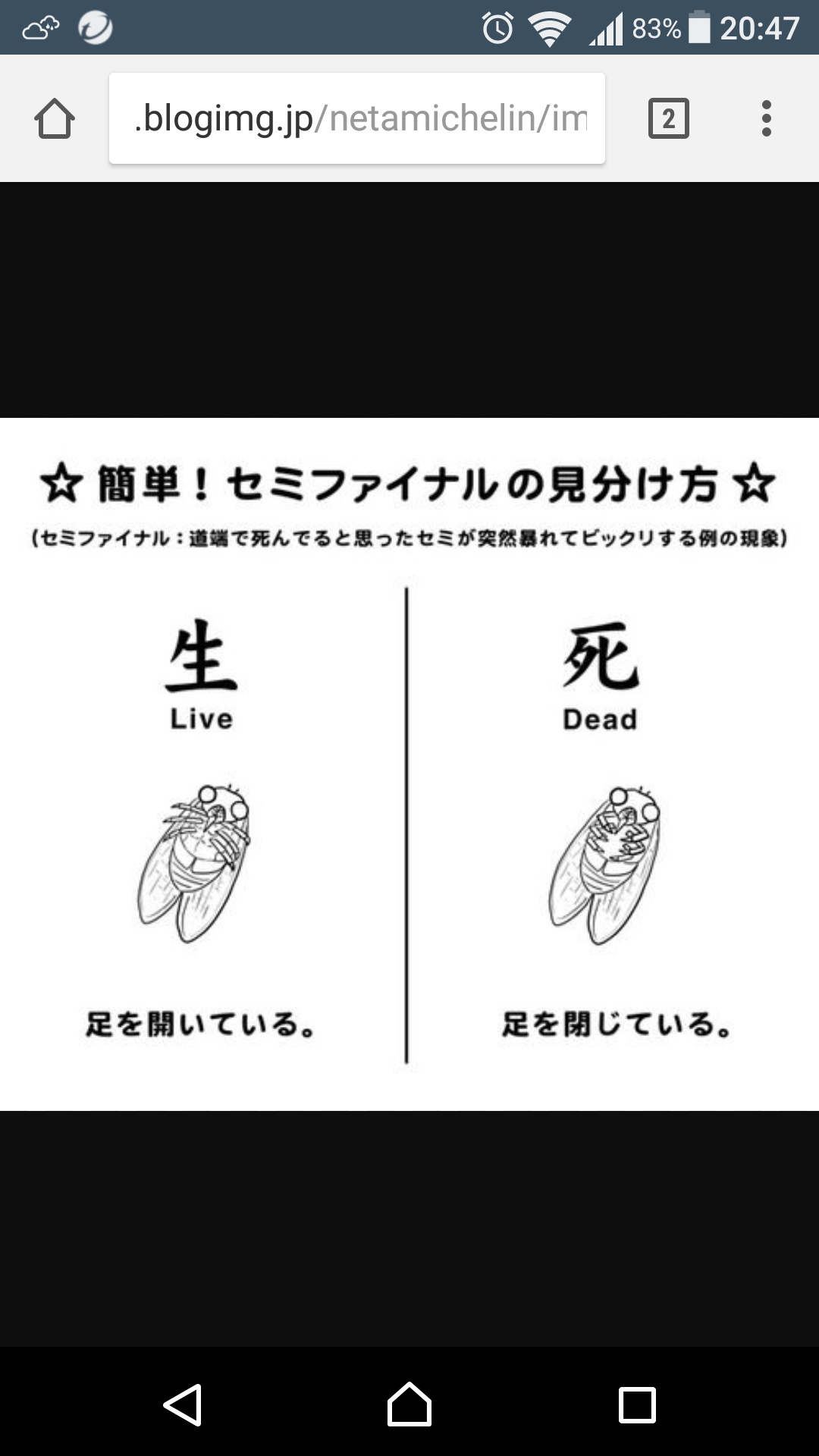 セミが嫌いな人！