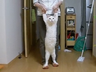 言葉を繋げて怖い話を作ろう