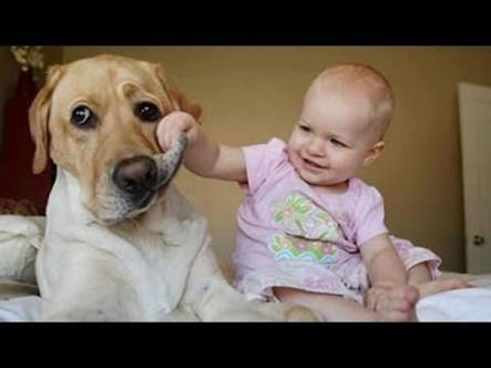 動物と子供の写真を貼るトピ