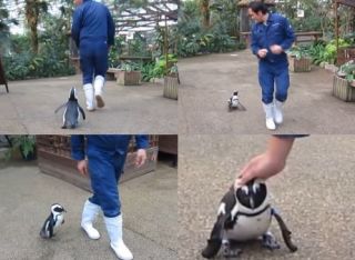 動物と子供の写真を貼るトピ