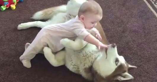 動物と子供の写真を貼るトピ