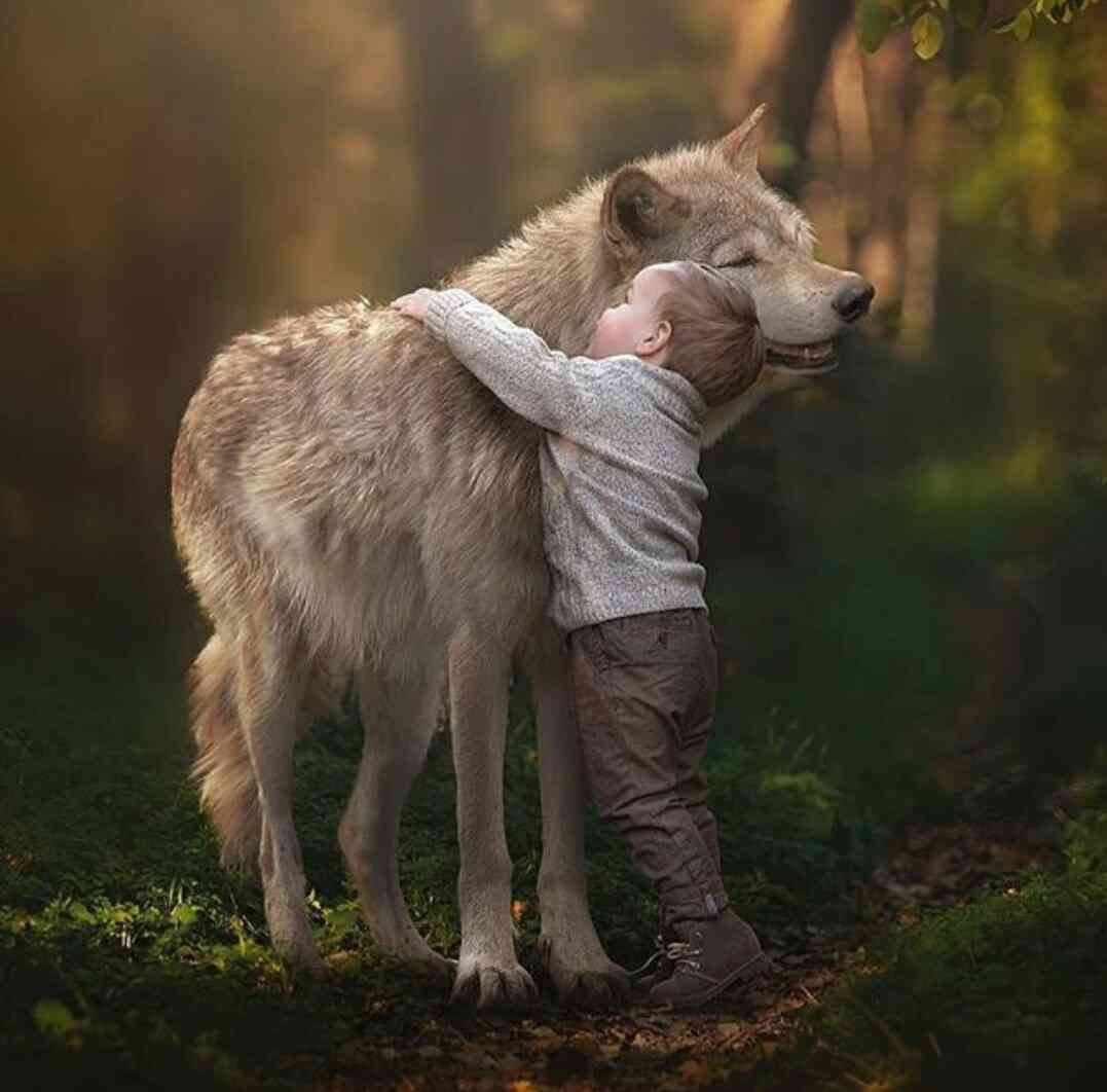 動物と子供の写真を貼るトピ