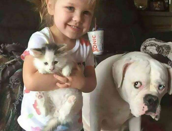 動物と子供の写真を貼るトピ