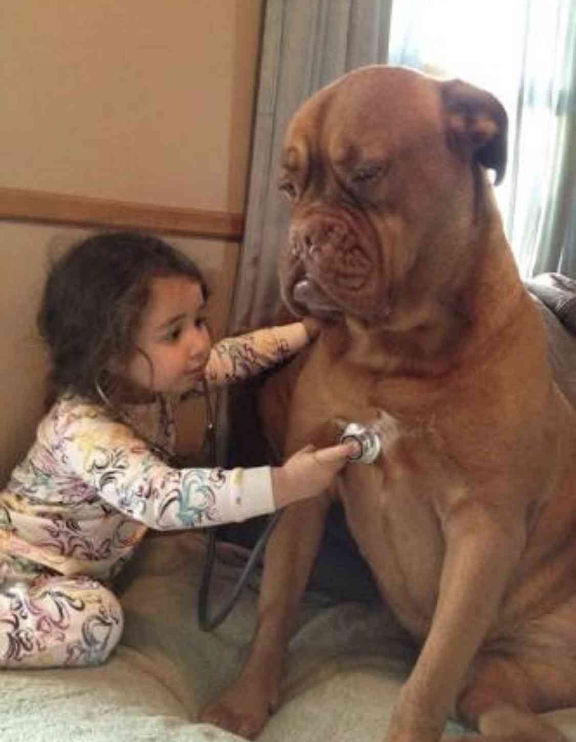 動物と子供の写真を貼るトピ