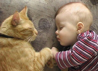 動物と子供の写真を貼るトピ