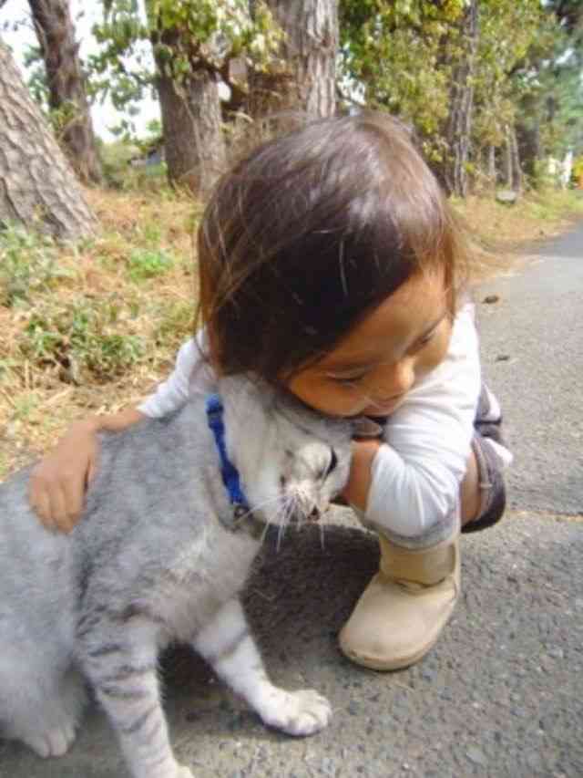 動物と子供の写真を貼るトピ