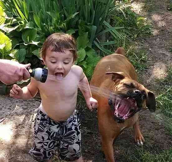 動物と子供の写真を貼るトピ