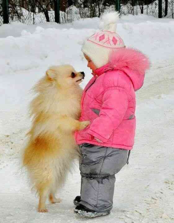 動物と子供の写真を貼るトピ