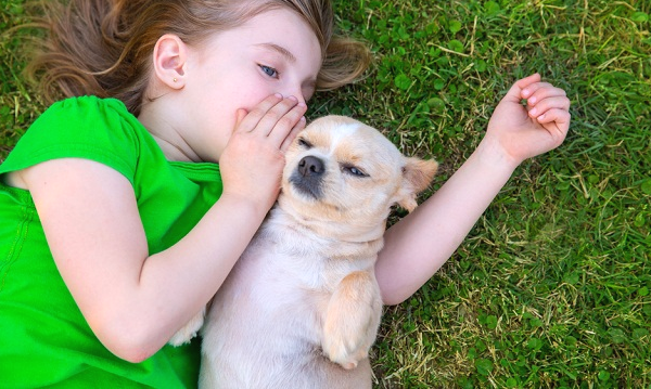 動物と子供の写真を貼るトピ