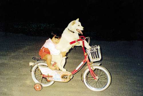 動物と子供の写真を貼るトピ
