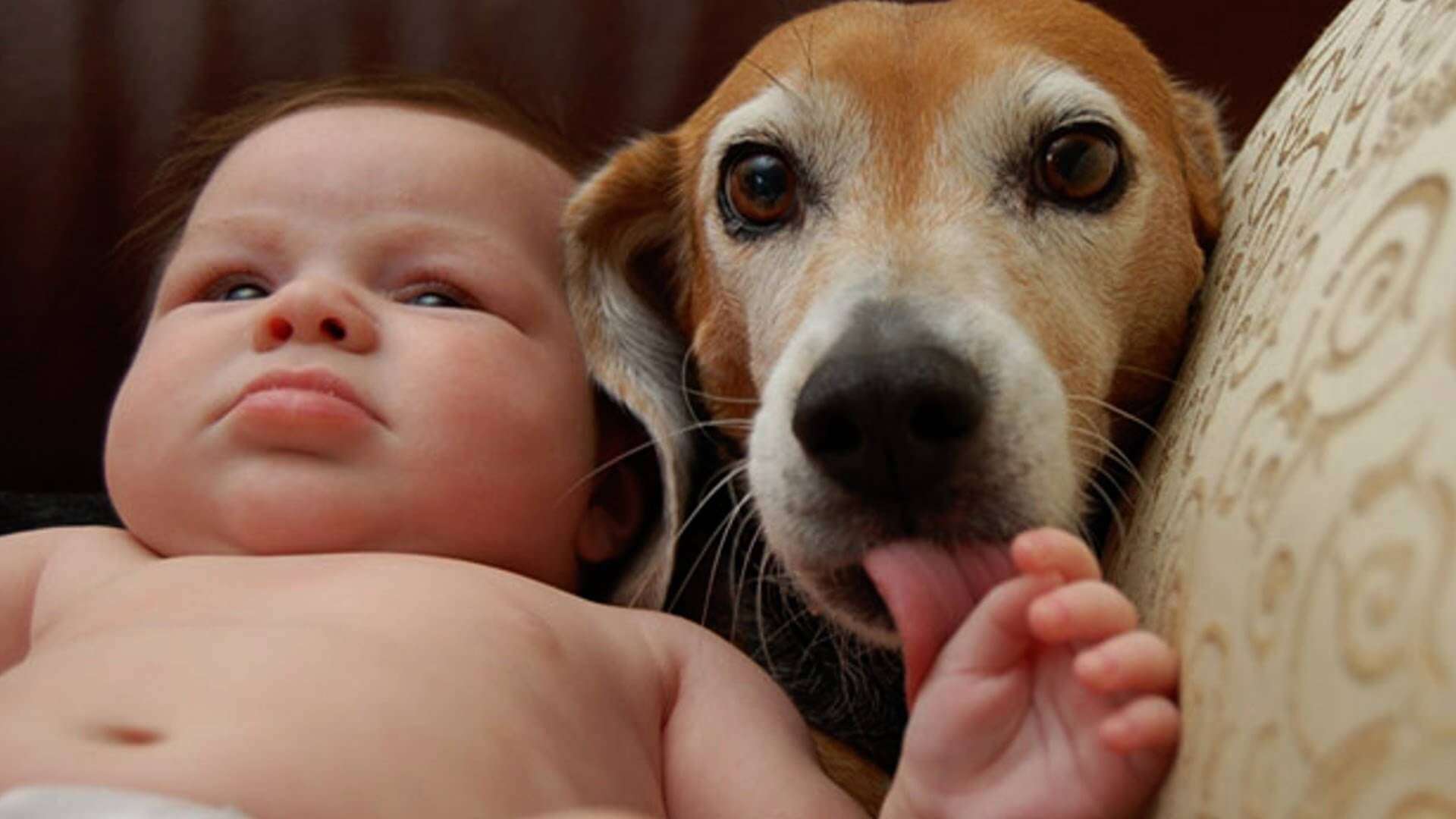 動物と子供の写真を貼るトピ